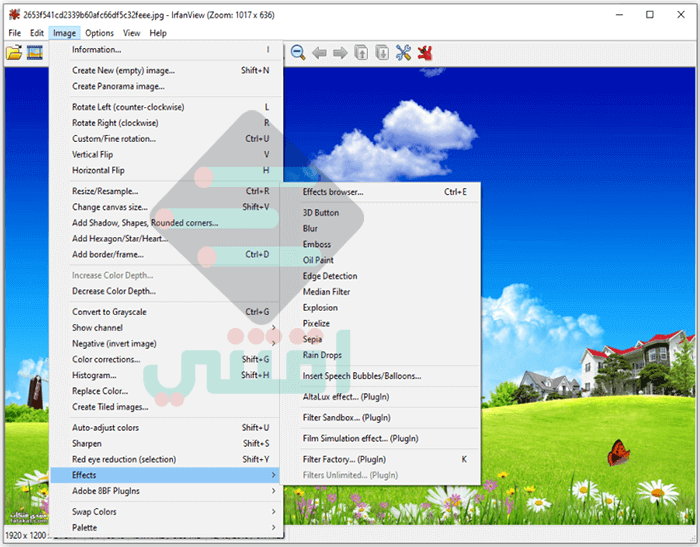 برنامج مستعرض الصور للكمبيوتر IrfanView Image Viewer مجاناً