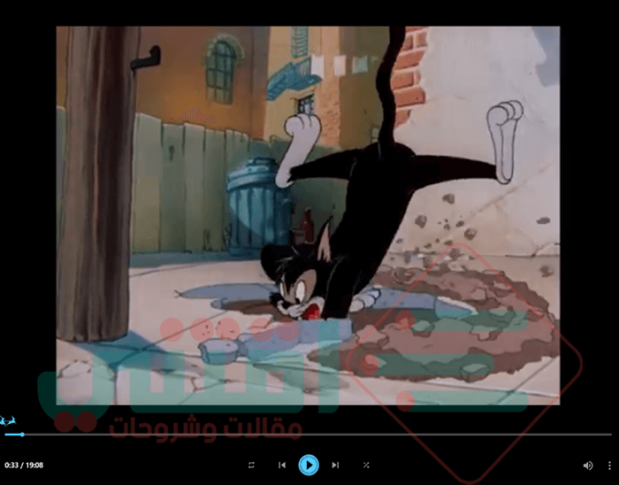 برنامج تحميل الفيديو من النت الى الكمبيوتر Televzr Video Downloader مجانا